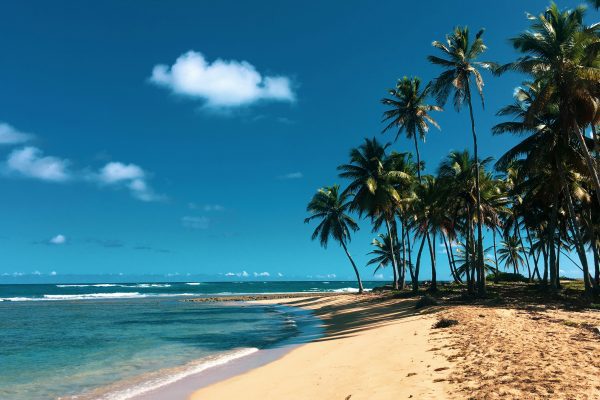 All Inclusive Holidays in the Dominican Republic​