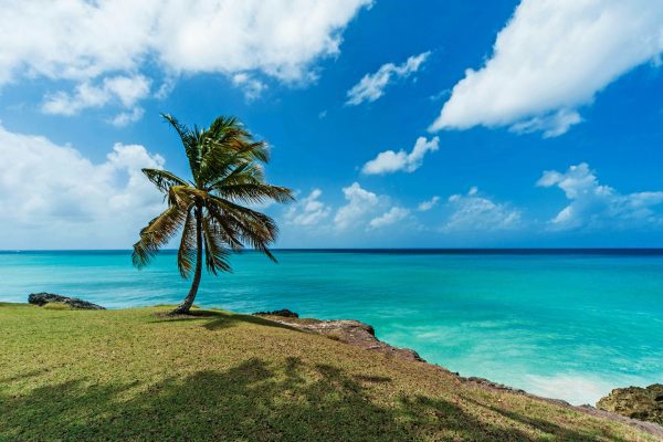 All Inclusive Holidays in Barbados ​