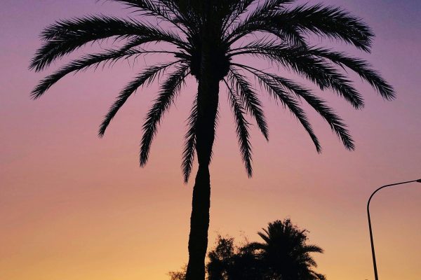 Luxury All Inclusive Holidays in Majorca​