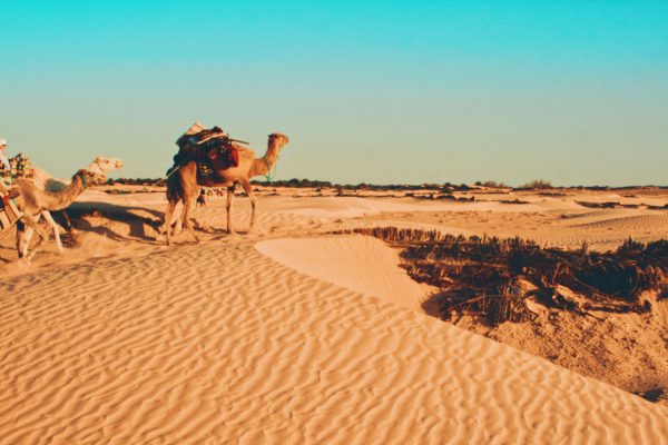 All Inclusive Holidays in Tunisia ​